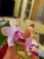 20200914_005427.jpg
