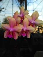 IMG_20200912_084303.jpg