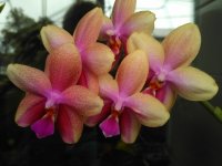 IMG_20200829_121658.jpg