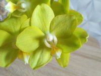 IMG_20200912_085111.jpg
