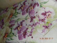 DSCN7639.JPG