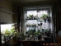 DSCN7641.JPG