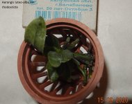 DSCN7643.JPG