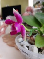 20200914_125128.jpg