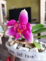 20200914_124827.jpg