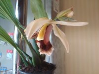 IMG_20200916_1312261.jpg