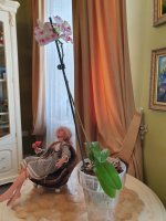 20200916_141256.jpg