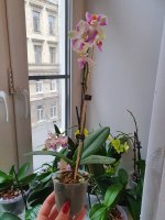 20200916_162317.jpg