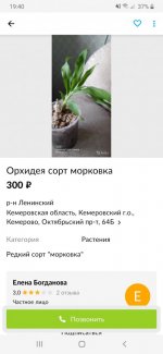 Screenshot_20200808-194002.jpg