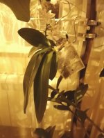 IMG_20200916_193824.jpg