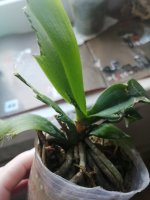 IMG_20200916_071415.jpg