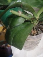 IMG_20200916_224440.jpg