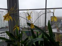 20191010_115757.jpg