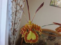 20191118_092719.jpg