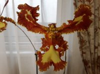 20191118_092547.jpg