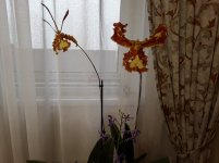 20191118_092508.jpg