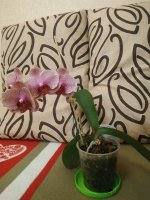 IMG_20200327_235440.jpg