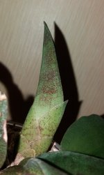 20200918_222547.jpg