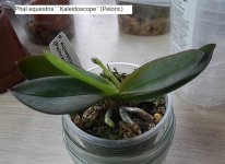 DSCN7652.JPG