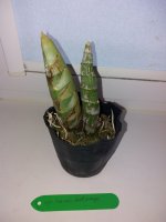 20200919_123510.jpg