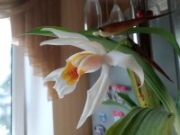 IMG_20200918_1406201.jpg