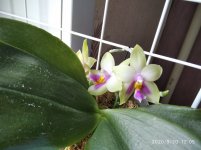IMG_20200920_120528.jpg