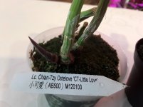 20200921_083423.jpg