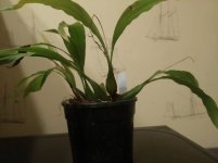 IMG_20200921_021819.jpg
