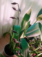 20200921_174905.jpg