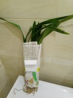 IMG_20200921_194857.jpg