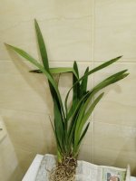 IMG_20200921_195014.jpg