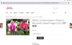 Screenshot_20200922-121659_Firefox.jpg