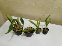 IMG_20200921_225626.jpg