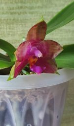 20200925_183810.jpg
