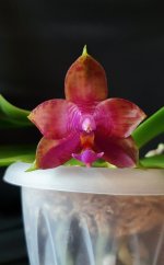20200925_183755.jpg