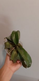 20200924_182317.jpg