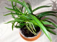 20200926_102800.jpg