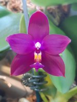 20200906_145318.jpg