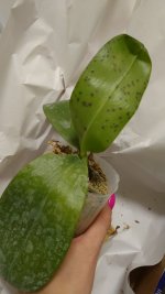 DSC_3359.JPG