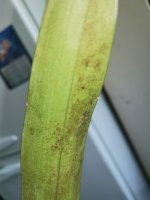 IMG_20200927_124424.jpg