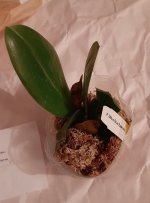 20200930_201222.jpg