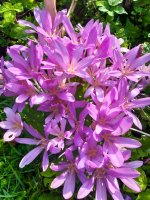 20200925_095442.jpg