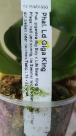 20201001_174034.jpg