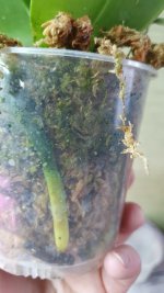 20201001_174046.jpg