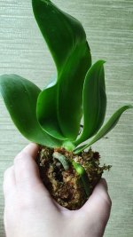 20201001_181602.jpg