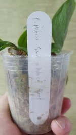 20201001_174206.jpg