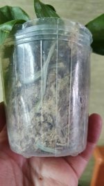 20201001_174217.jpg