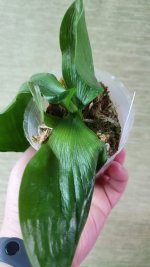 20201001_174213.jpg
