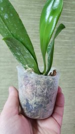 20201001_174252.jpg
