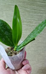 20201001_191857.jpg